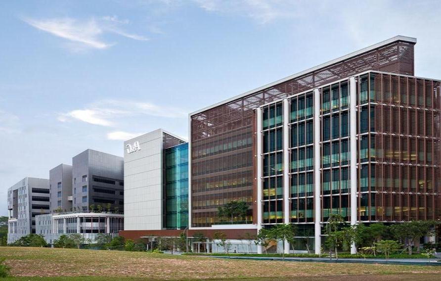 新加坡创新中心——外部视角
