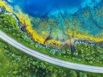 热带水域旁的树木道路的Arial视图